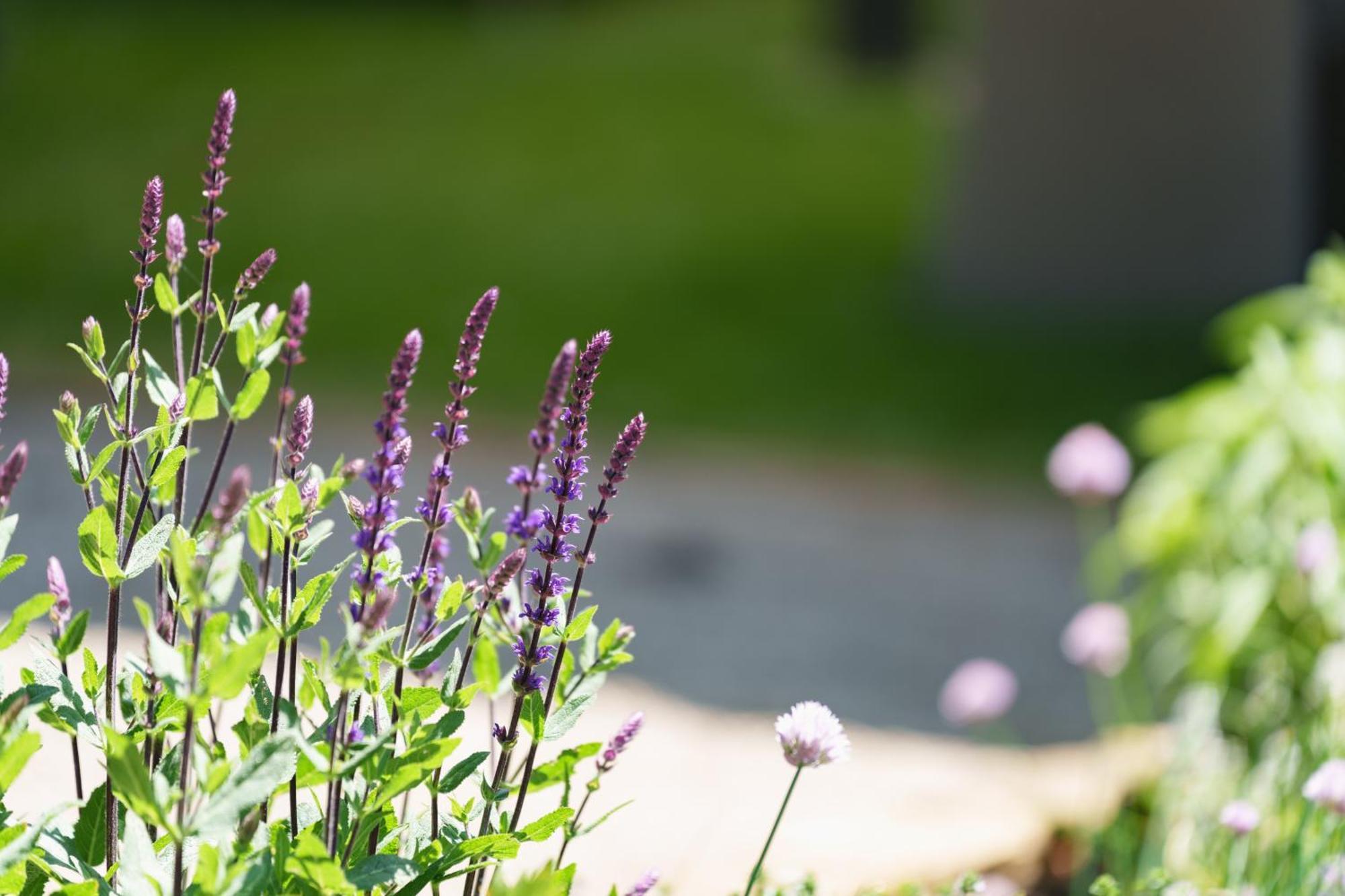 Les Jardins D'Anais 호텔 룩셈부르크 외부 사진